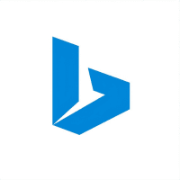 Bing Ads Management