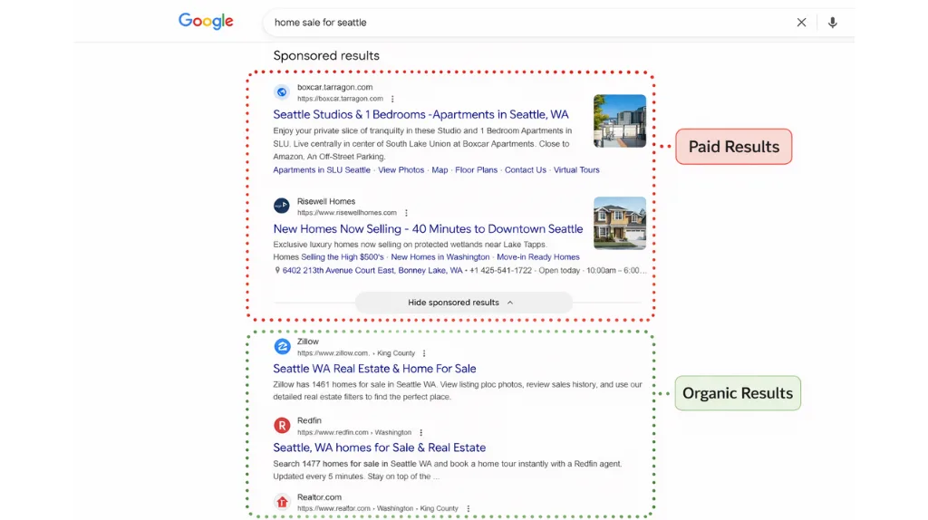 Visibility & SERP Placement