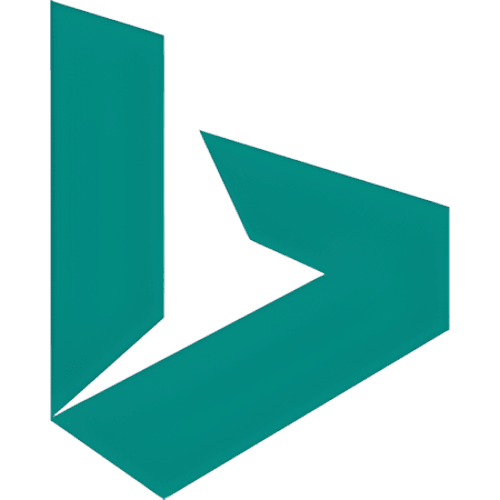 Local Search Strategy